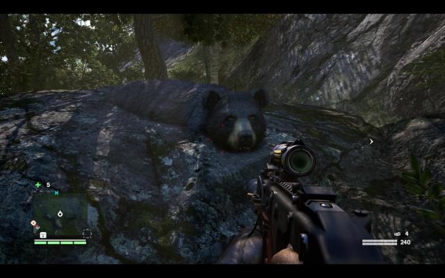 Bears have the added bonus of being masters of stealth.